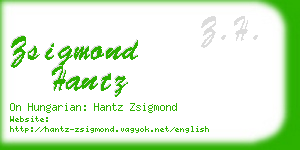 zsigmond hantz business card